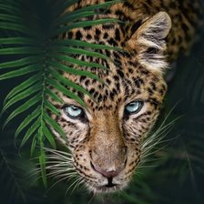 Схема вышивки «№2674409»