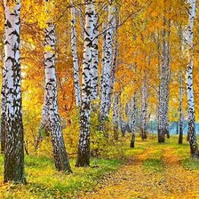 Схема вышивки «Лесная дорога»