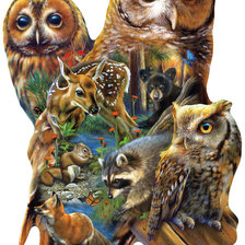 Схема вышивки «BUHOS FAUNA DMC»