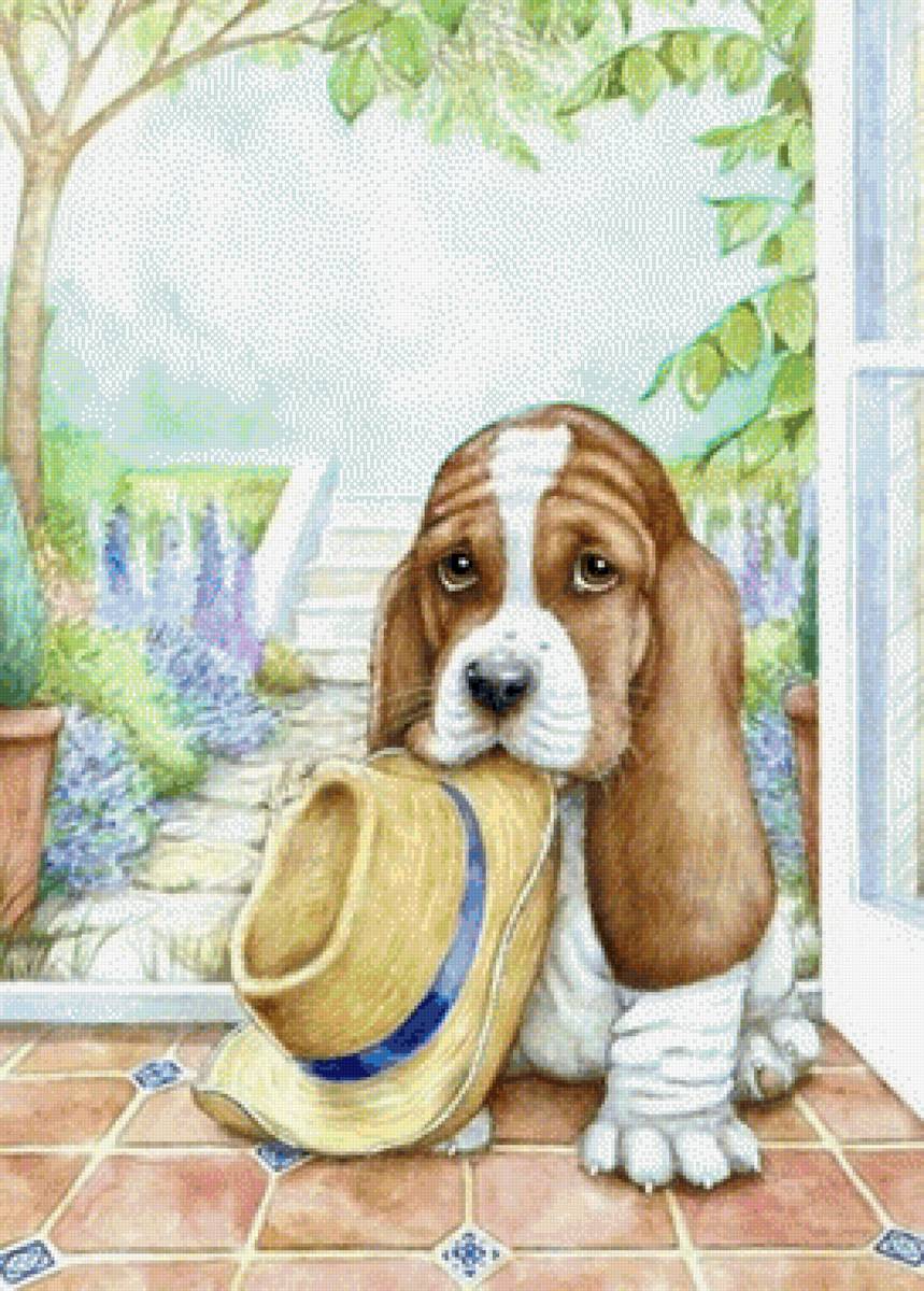 Собака - собака - предпросмотр