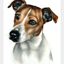 Схема вышивки «Джек»