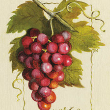 Схема вышивки «№2674685»