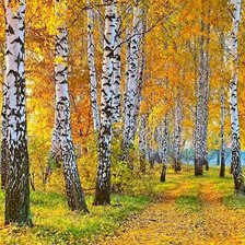 Схема вышивки «березы»