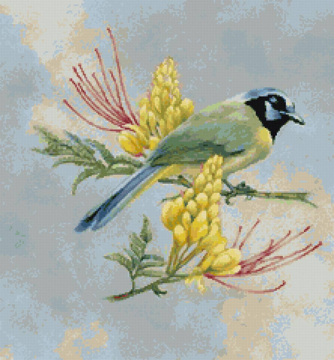 Лазоревка - предпросмотр