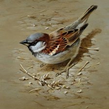 Схема вышивки «воробей 2»