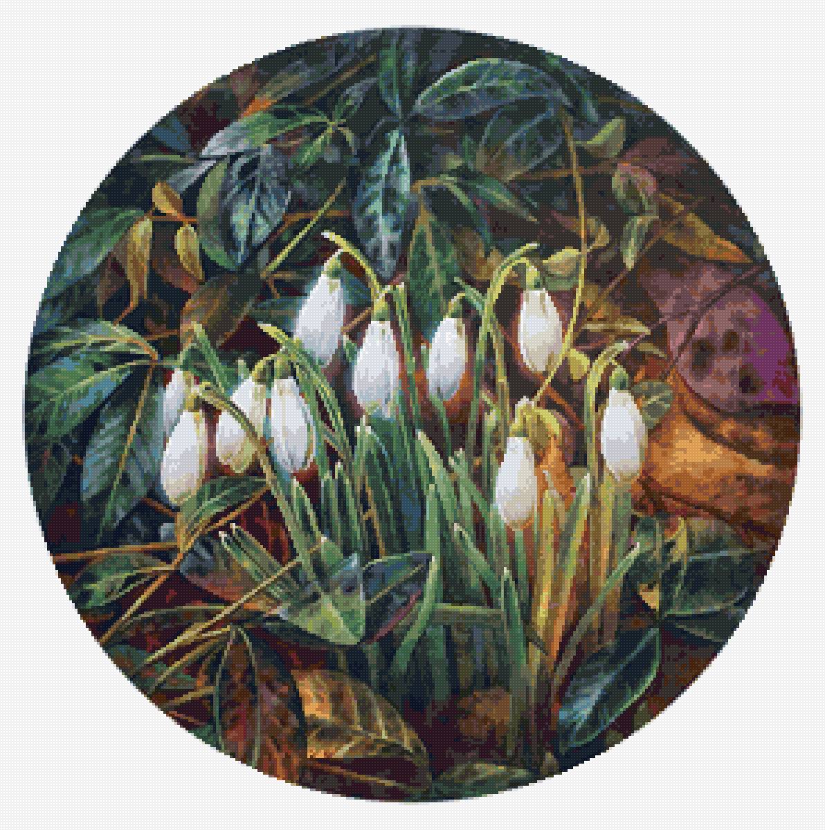 Подснежники 3 - цветы - предпросмотр