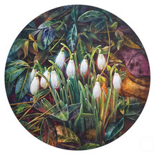 Подснежники 3