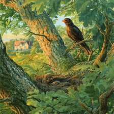 Схема вышивки «№2675039»