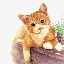 Схема вышивки «,,Рыжик,,»