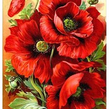 Схема вышивки «маки»