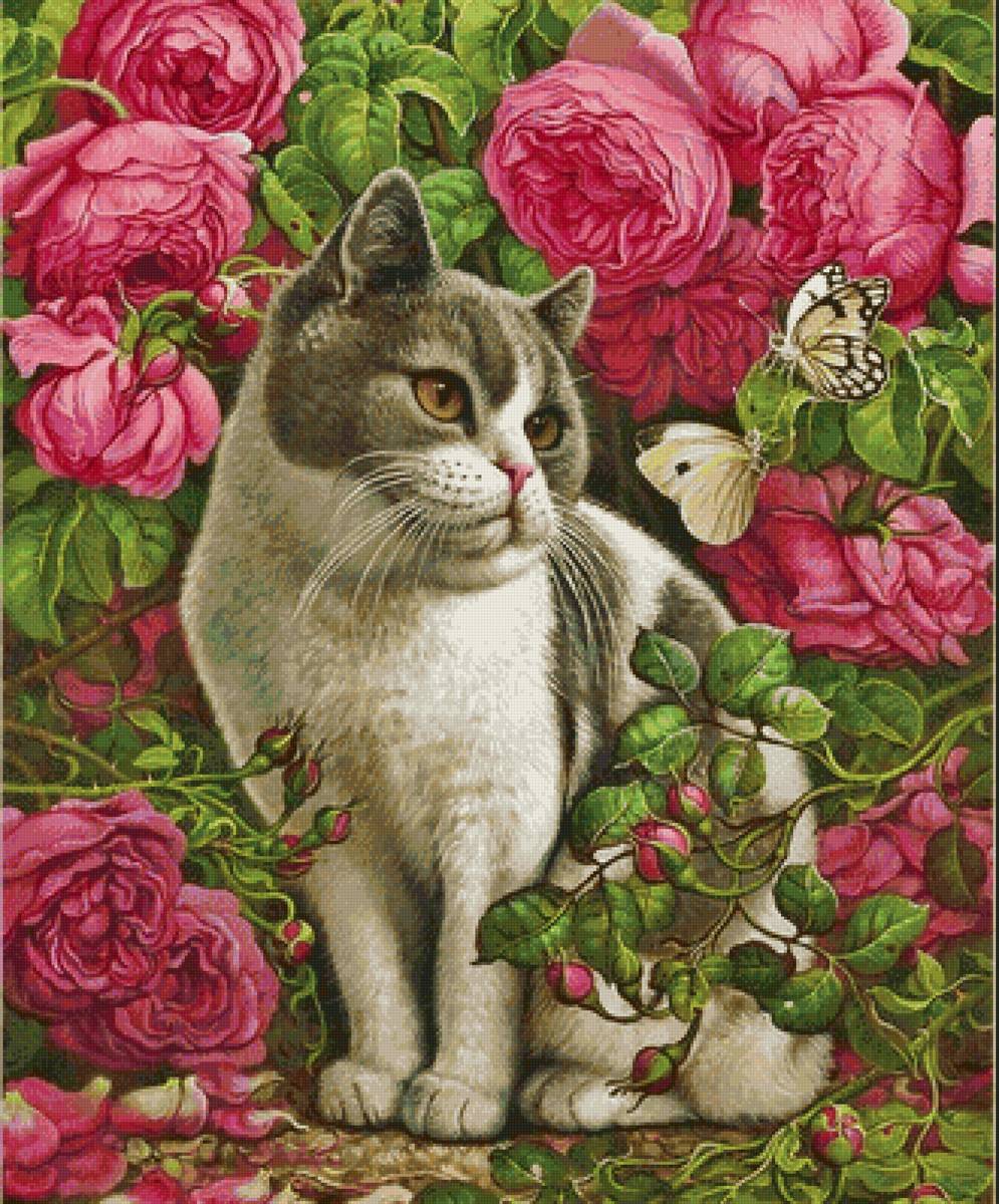 Котэ - предпросмотр