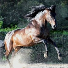 Схема вышивки «№2675489»