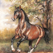 Схема вышивки «№2675495»