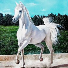 Схема вышивки «№2675501»