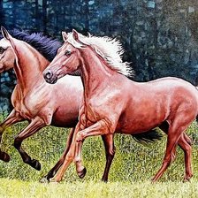 Схема вышивки «№2675514»