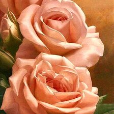 Схема вышивки «Розы»