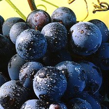 Схема вышивки «Виноград»