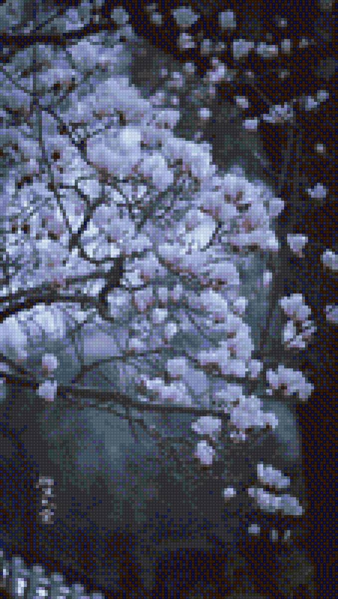 Flores - предпросмотр