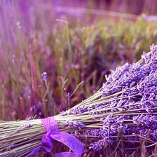 Схема вышивки «лаванда»