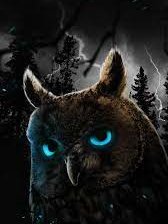 Схема вышивки «сова2»