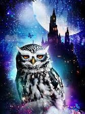 Схема вышивки «сова3»