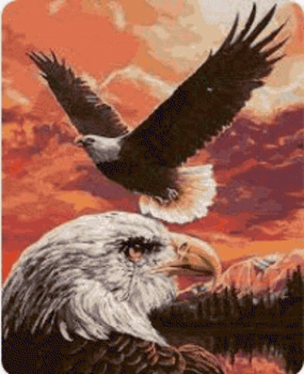 орел2 - птица, орел - предпросмотр