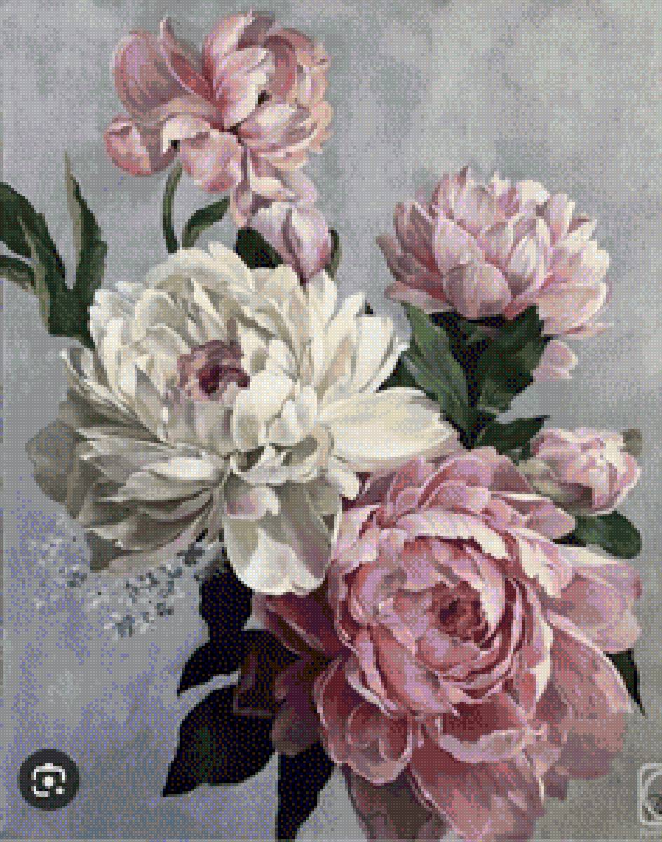 Пионы - пионы - предпросмотр