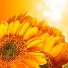 подушка подсолнух