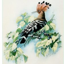 Схема вышивки «удод»