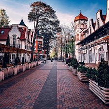 Схема вышивки «Раушен»