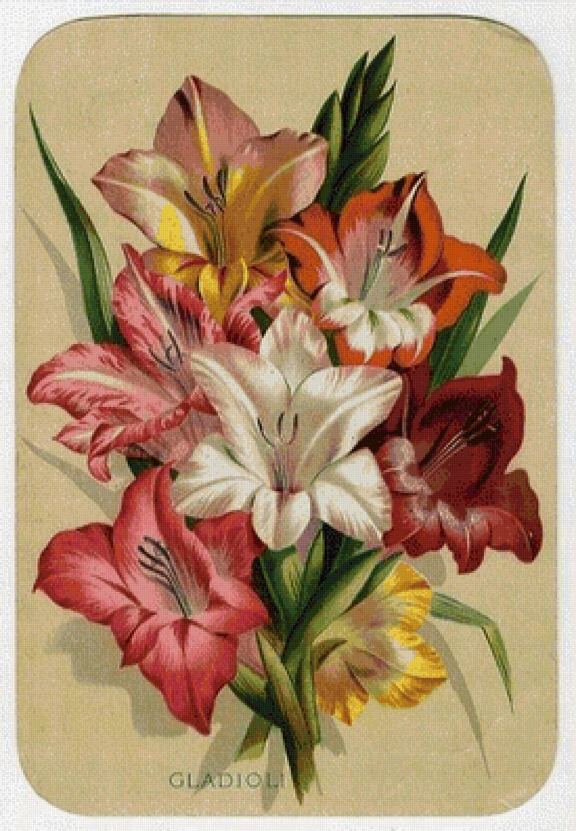 Цветы - предпросмотр