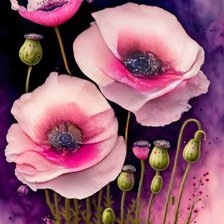 Схема вышивки «Маки»