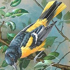 Птица на ветке