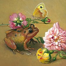 Лягушка с бабочкой