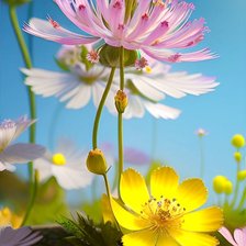 Схема вышивки «Природа»