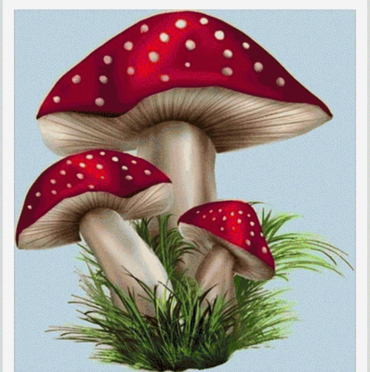 №2677508 - предпросмотр