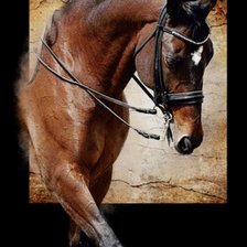 Схема вышивки «лошадь»