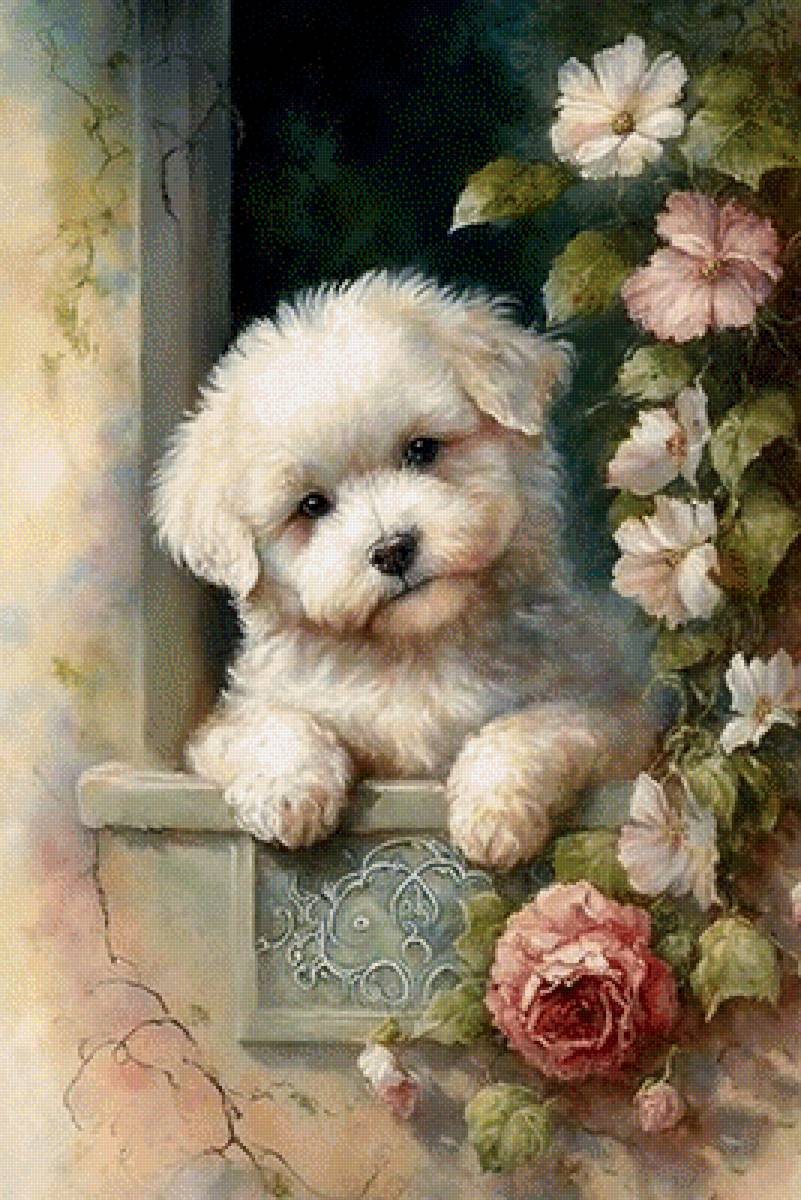 Щенок - щенок - предпросмотр