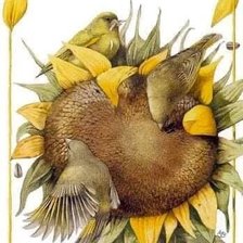 Схема вышивки «Подсолнух,птицы»