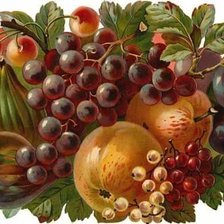 Схема вышивки «№2677918»