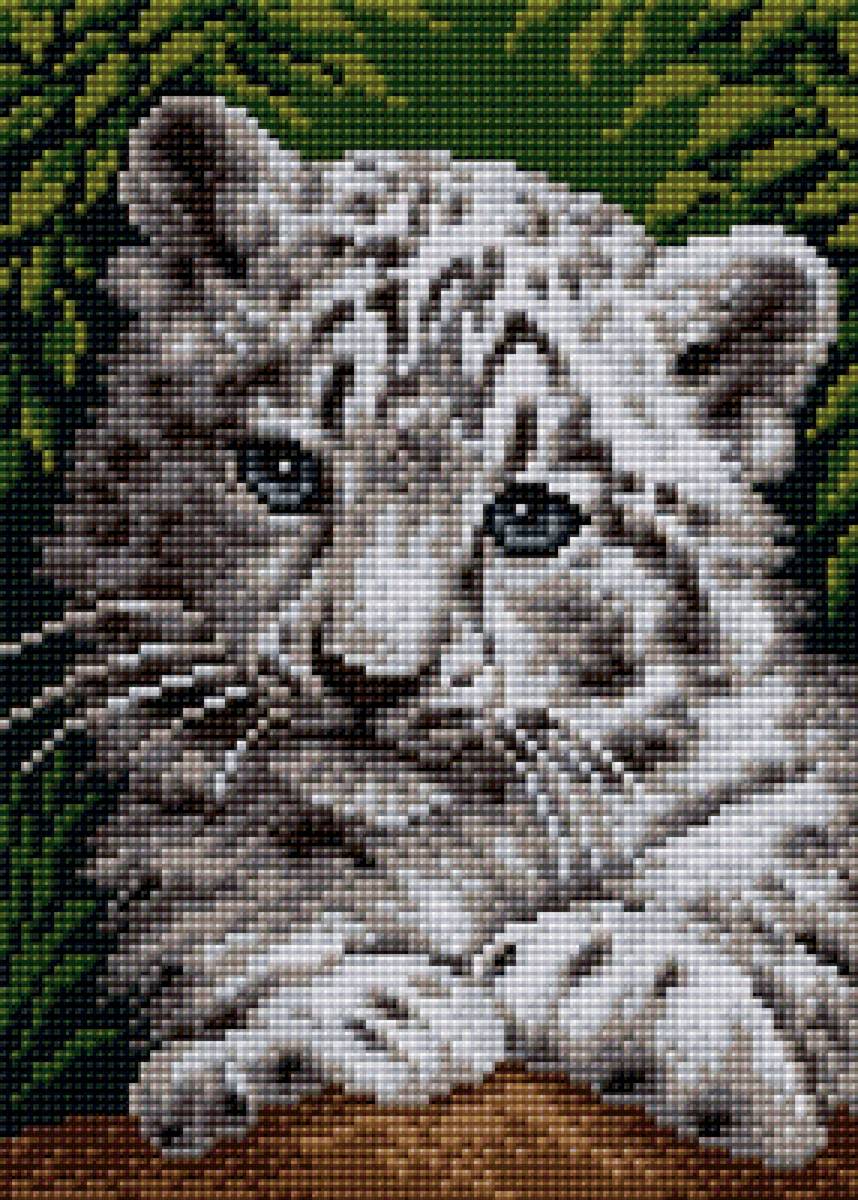 леопардик - предпросмотр