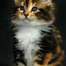 Схема вышивки «№2678172»