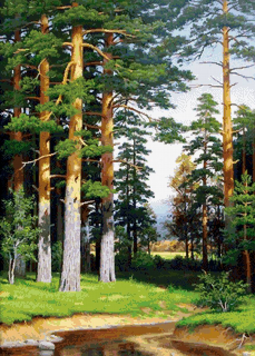 №2678655 - сосны - предпросмотр