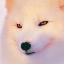 Схема вышивки «№2678876»