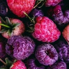 Схема вышивки «Малина»