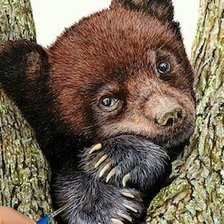 Схема вышивки «Мишаня»