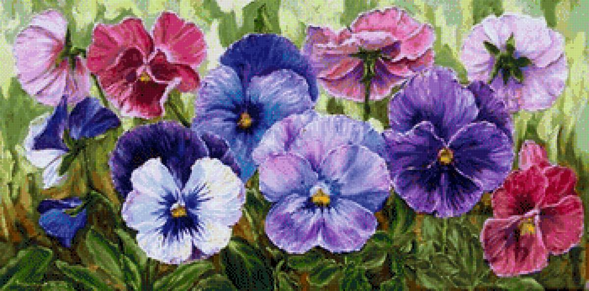 Анютины глазки - анютины глазки, цветы - предпросмотр