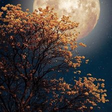 Схема вышивки «Лунная ночь»