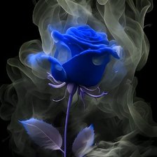 Схема вышивки «Rosa azul»