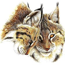 Схема вышивки «Рыси»